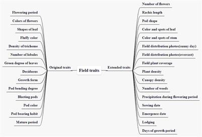 Traits Expansion and Storage of Soybean Phenotypic Data in Computer Vision-Based Test